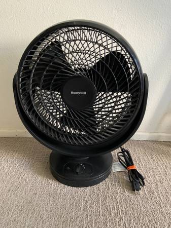 Large Fan 1