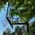 48” x 72” Basketball Hoop (glass) 2 thumbnail