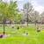2 Side-by-Side Plots (Double-Depth) at Resthaven/Carr-Tenney Memorial 3 thumbnail