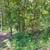 Lake Perry lot - .361 ac wooded lot 8 thumbnail