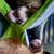 2 Ferrets with cage 9 thumbnail