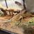 Two Bearded Dragons needs Rehoming 3 thumbnail