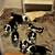 Pointer/Border Collie Puppies- Ready To Go! 2 thumbnail