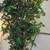 Large 9' tall fake tree 3 thumbnail