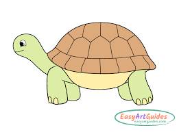 Found Tortoise (Ahwatukee)63383089752065121