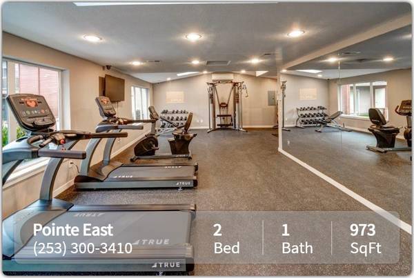 Fife's top location! 2 bed, 1 bath - See it to believe it! 1