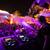 EDC-2022 8 thumbnail