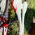 Specialized tarmac road bike 9 thumbnail