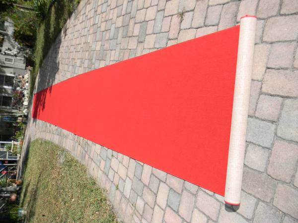 41' RED Carpet Runner for Party Prom Runway Rug Wedding Ceremony 1