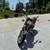 Kawasaki KZ440 4 thumbnail