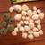 Coco Clam Seashells and Sea Urchin Shells (All 35 for $8) 1 thumbnail