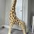 Giant Standing Giraffe 1 thumbnail