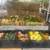 Pumpkins, Mums and Fall decorations 12 thumbnail