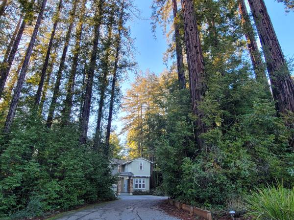 $9,975 / 6br - 5500ft2 - Huge 5500 sqft house, 6BR 6BA near UCSC (santa cruz)63790122302211120