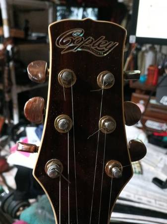 Acoustic Guitar Copley 1