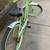 Phat Cycles cruiser beach comber bike single speed bicycle 2 thumbnail