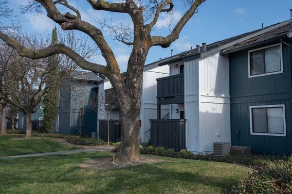$2,083 / 2br - 900ft2 - Recepción de paquetes, patio privado, estacionamiento cubierto, terraza extravagante en la azotea (Woodland)63844735968257124
