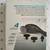 NEW tzumi Pro-fit heat therapy massager 4 thumbnail