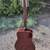 Yamaha 12 string 3 thumbnail