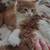 Soft silky fluff balls 3 thumbnail