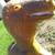 Vintage    FEATHERSTONE - T REX Blowmold 2 thumbnail