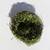 Artificial Moss n Ivy Medium display Birds Nest 7x7x2 1 thumbnail