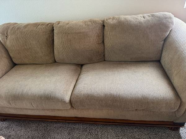 Free Large Couch 1