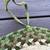 Braided Chair Pads Table Runner Homespice Decor 12 thumbnail