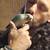Young hand fed green cheek conures 2 thumbnail