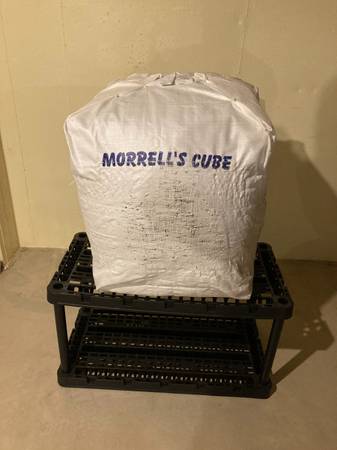 Morrell's  "The Cube" Target 1