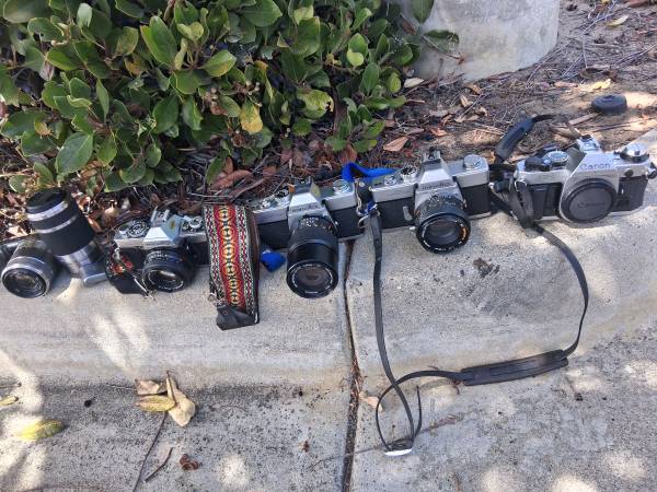 Vintage camera Collection.. 1