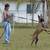 DOG BOARDING and TRAINING  (CENTRAL JERSEY) 21 thumbnail