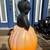 Vintage 1993 Halloween Blow Mold - Empire Black Cat & Pumpkin 8 thumbnail