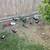 Bantam duckwing 4 thumbnail