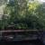 Tree Trimming & Removal  – Text 714-414-7304 for Price 12 thumbnail