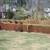 Fencing 11 thumbnail