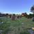 Two Adjoining Burial Plots – Forest Lawn Memorial Park, Burnaby 2 thumbnail