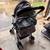 Pet Stroller - 4 Wheels 4 thumbnail