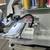 Embroidery Machine New Xtreme Tech Pro 1501 Reads Tajima 4 thumbnail