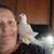 Handfed Baby Pigeons for Adoption 8 thumbnail