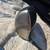 Bang golf Bang-0-Matic 9 degree golf driver 2 thumbnail