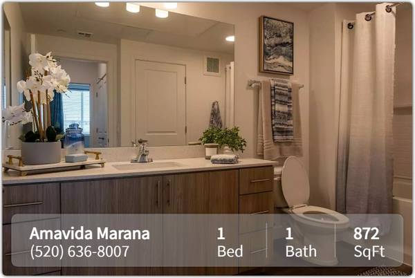 $1,635 / 1br - 872ft2 - All you need and more: 1 BR, 1 BA in a vibrant community. (Tucson)63674826271873122