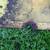 John Deere  mower deck guard H047D 200 series garden tractor 3 thumbnail