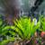 Complete 65-Gallon Custom Freshwater Aquarium Setup - Vibrant & Well-E 11 thumbnail