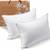 Firm Price! Brand New in a Box 2-Pack Premium Down Queen Pillows 1 thumbnail