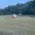 Hay 4x5.5 tight net wrapped bales 2025 4 thumbnail
