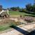 SoCal Excavation - Demo - Hauling - Pools - ADU/House Pads - 15 thumbnail