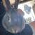 Pet rabbit 1 thumbnail