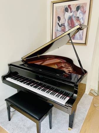 LECCIONES DE PIANO MUSICAL POR PIANISTA PROFESIONAL (Chelsea)63661733676419120