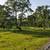 10.06 Acres with AG Water Ditch 9 thumbnail